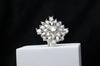 Celestial Burst Ring