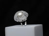 Eternal Pearl Halo Ring