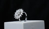 Daisy Radiance Ring