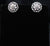 Floral Shine Premium Studs