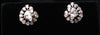 Pear Bloom Sparkle Studs