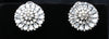 Radiant Blossom Stud Earrings